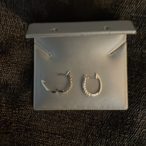 Small double row hoop 10k WG Diamond Earrings